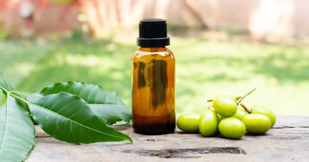 How much soap to mix with neem oil